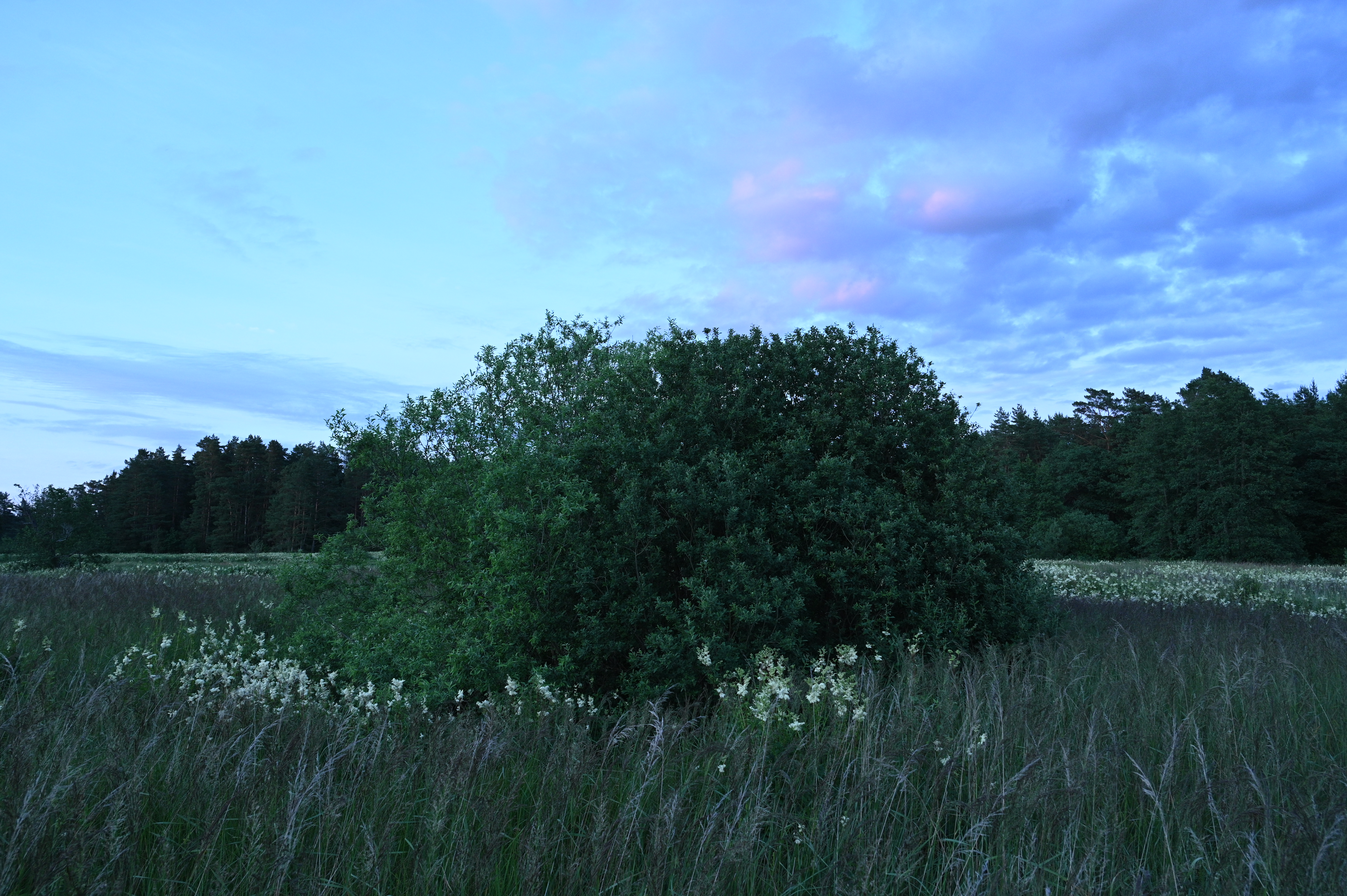 2025/07/09-14 - trip/DSC_0122.JPG